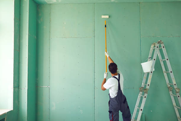 Best Water Damage & Mold Remediation  in Superior, NE
