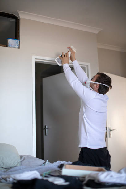 Best Attic Mold Removal  in Superior, NE