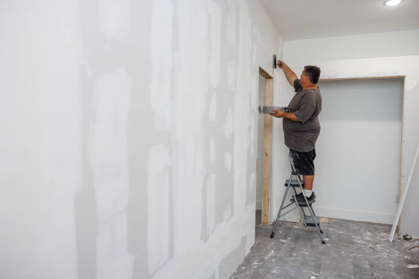 Best Mold Removal for HVAC Installations  in Superior, NE