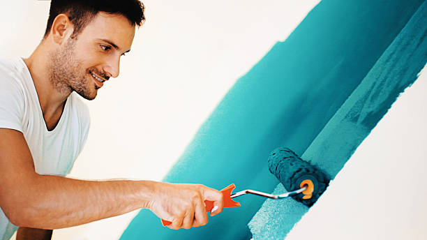 Best Mold Remediation for Healthcare Facilities  in Superior, NE